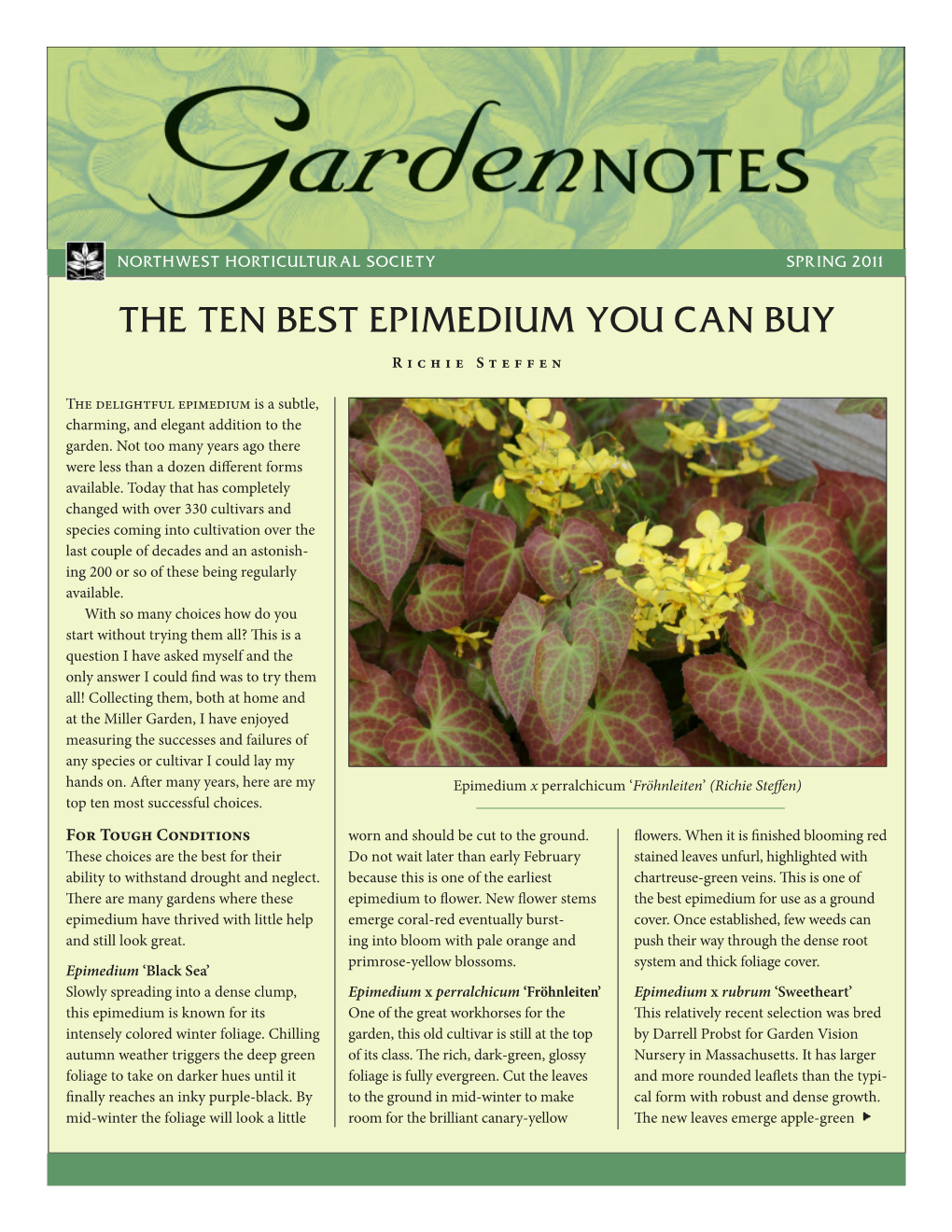 The Ten Best Epimedium You Can Buy