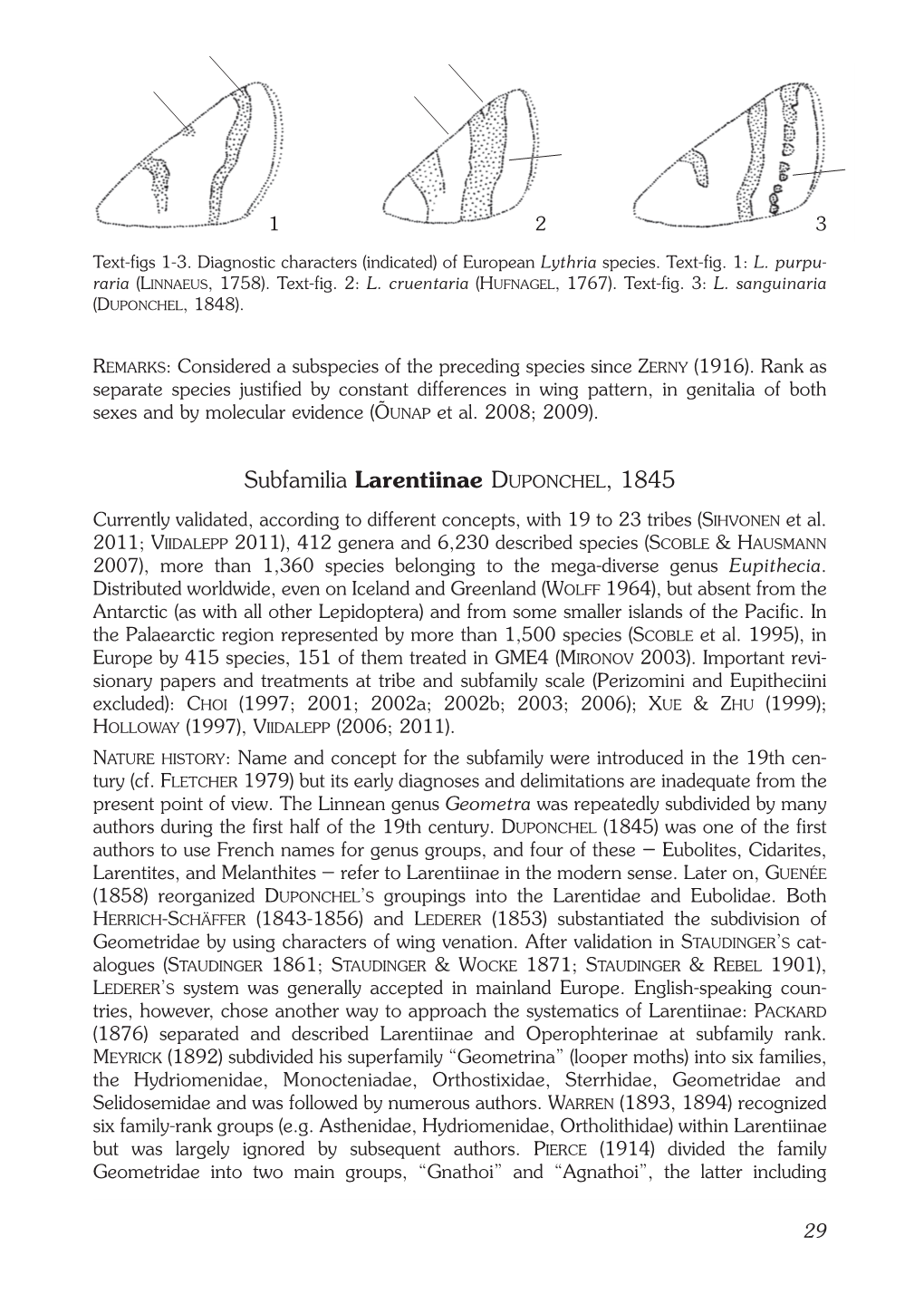 Subfamilia Larentiinae DUPONCHEL, 1845