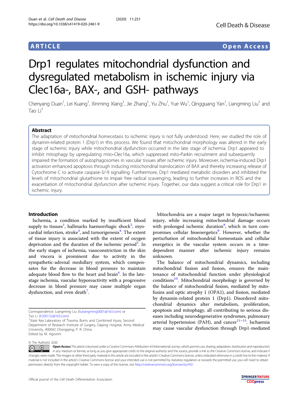 Drp1 Regulates Mitochondrial Dysfunction And