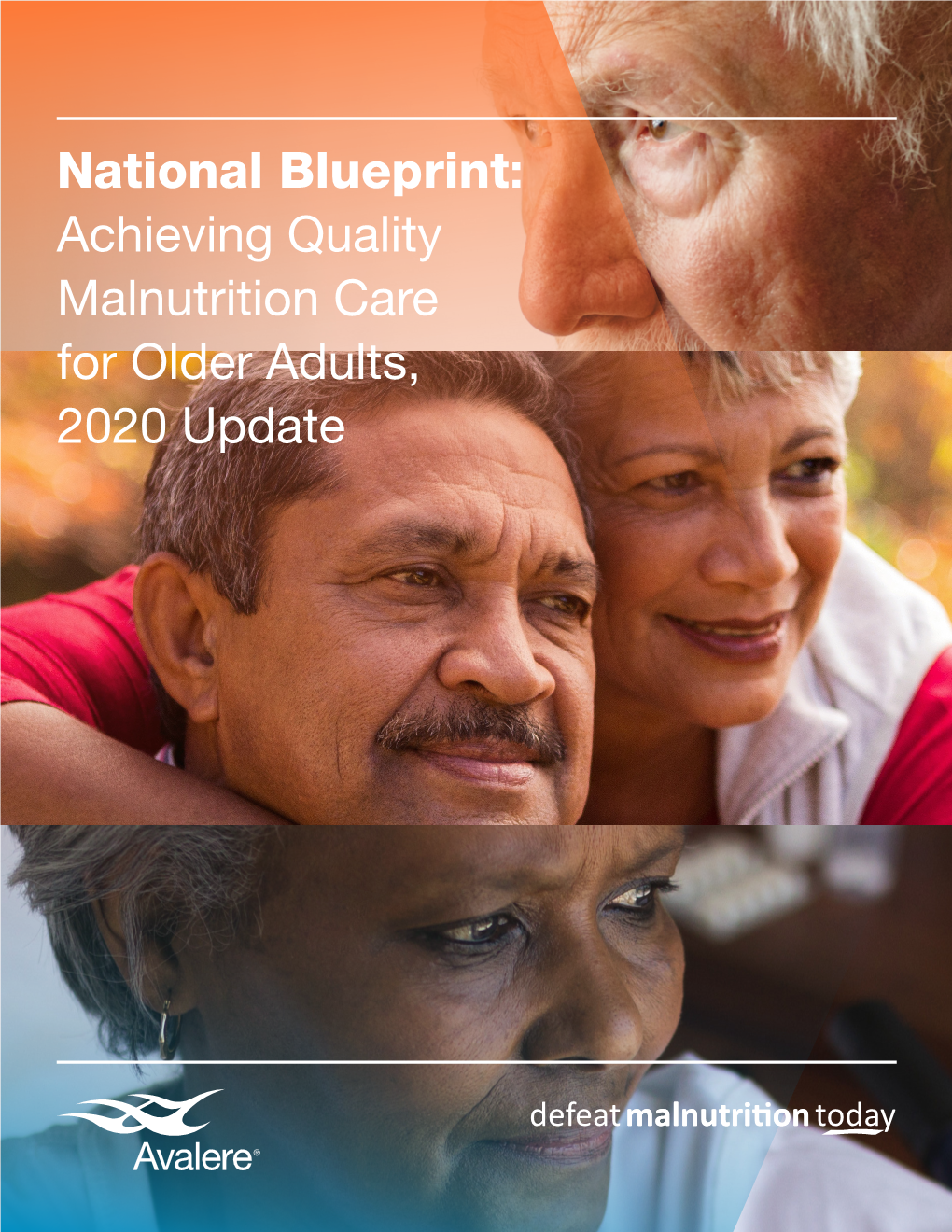 National Blueprint: Achieving Quality Malnutrition Care for Older Adults, 2020 Update Foreword