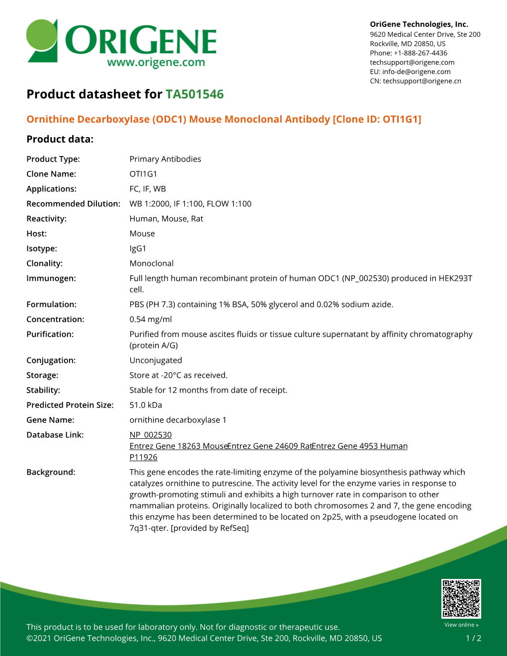 Ornithine Decarboxylase (ODC1) Mouse Monoclonal Antibody [Clone ID: OTI1G1] Product Data