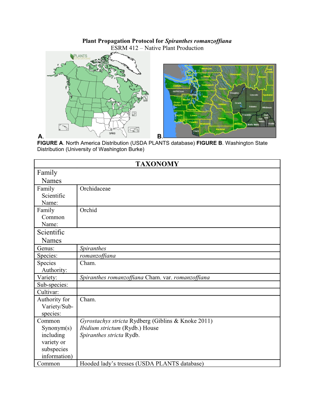 Plant Propagation Protocol for Spiranthes Romanzoffiana ESRM 412 – Native Plant Production