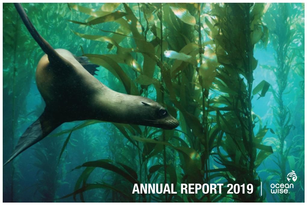 Annual Report 2019 | Ocean Wise Our Vision Is a Contents