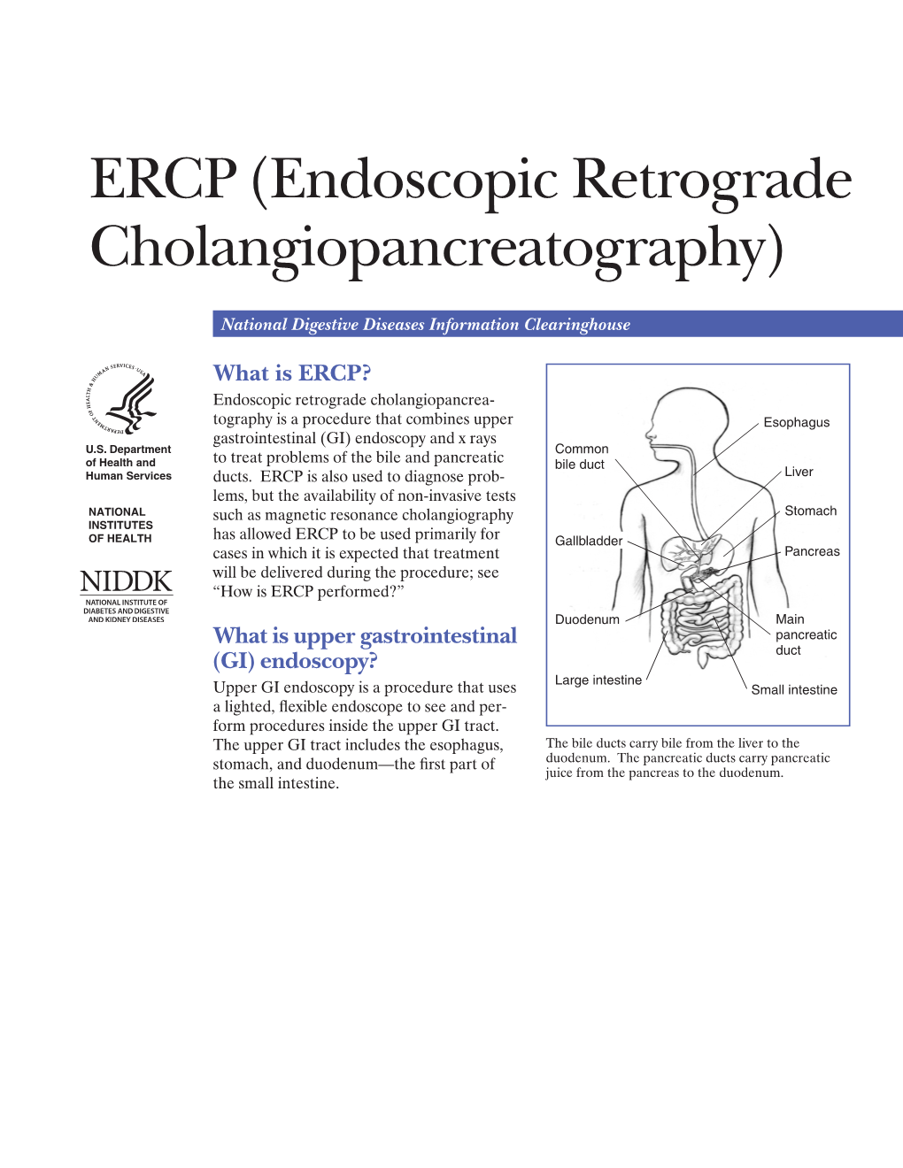 ERCP (Endoscopic Retrograde Cholangiopancreatography)