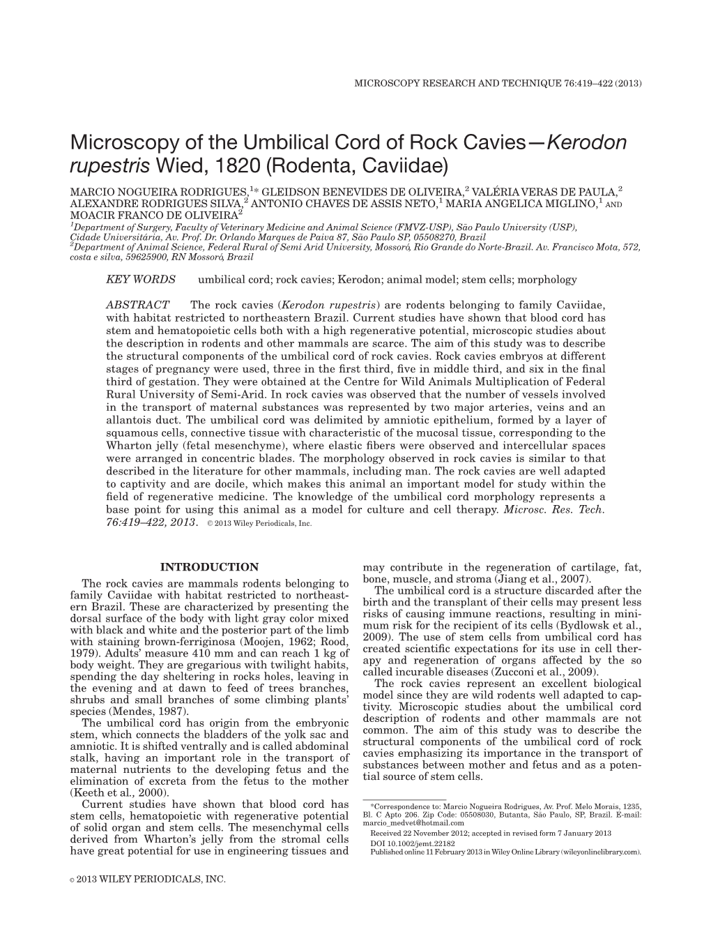 Microscopy of the Umbilical Cord of Rock Cavieskerodon Rupestris Wied