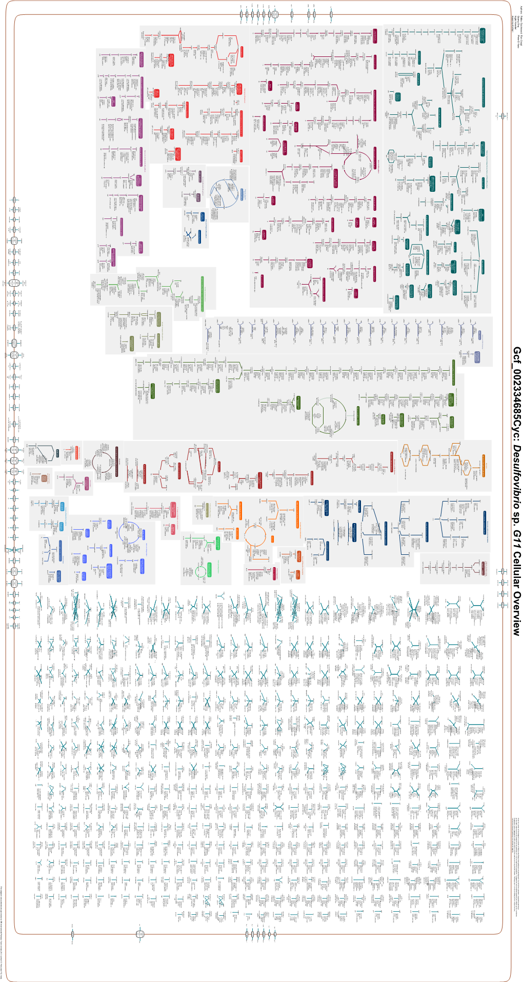 Generated by SRI International Pathway Tools Version 25.0 on Sat