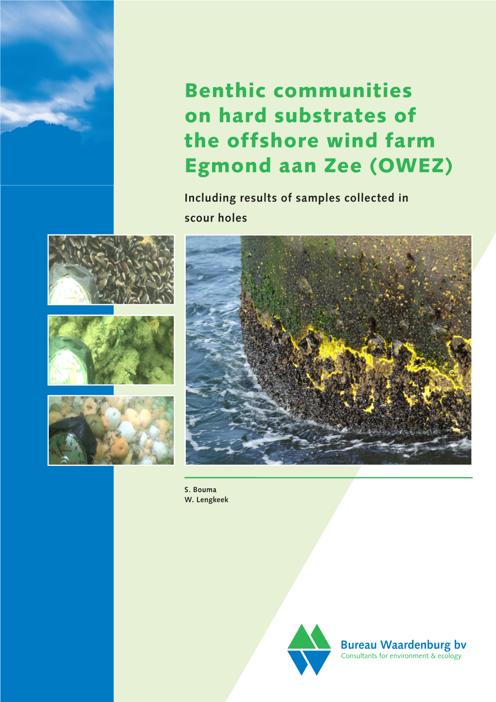 Benthic Communities on Hard Substrates of the Offshore Wind Farm Egmond Aan Zee (OWEZ)