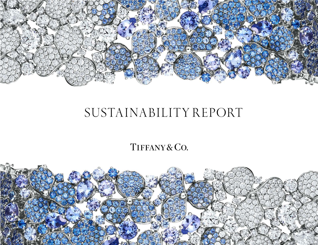 Sustainability Report I