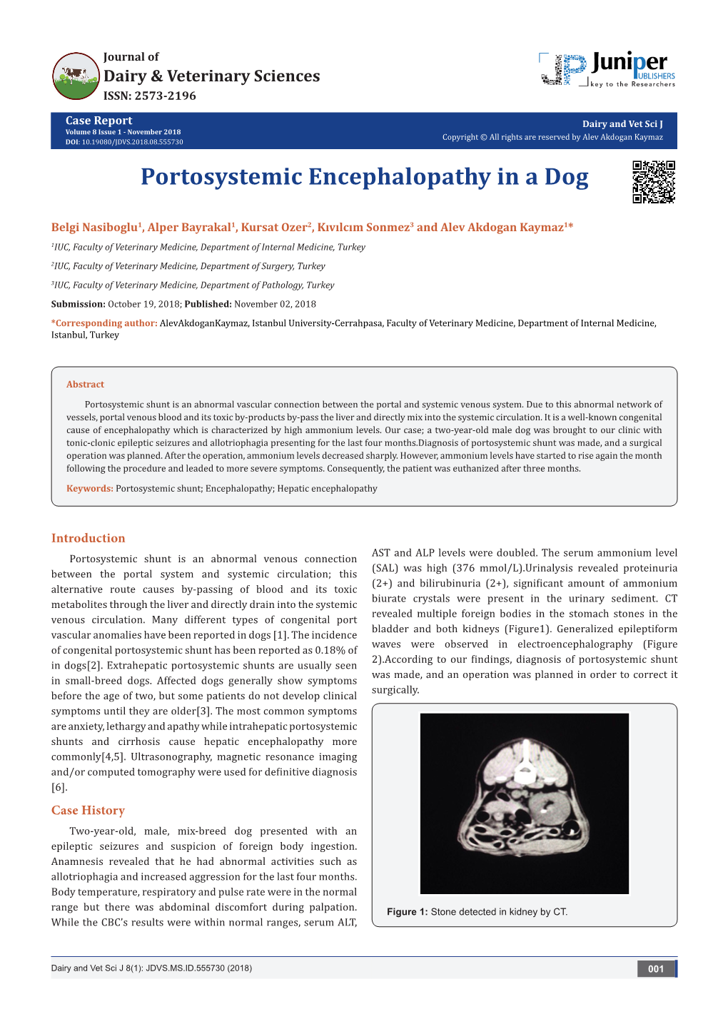 Portosystemic Encephalopathy in a Dog