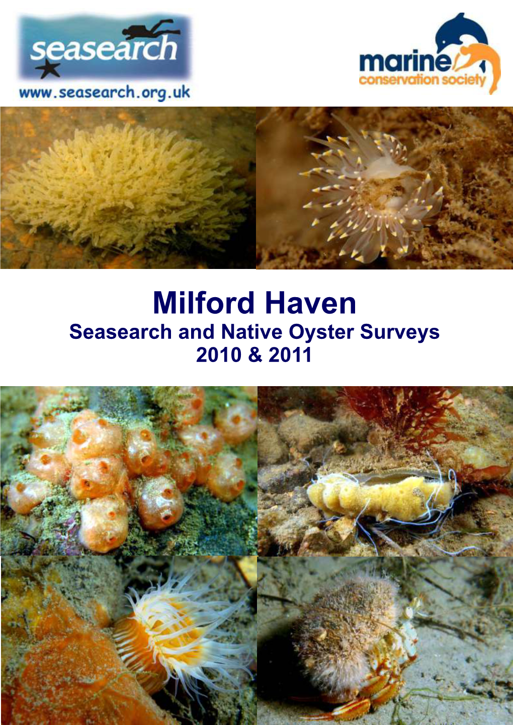 Milford Haven Seasearch and Native Oyster Surveys