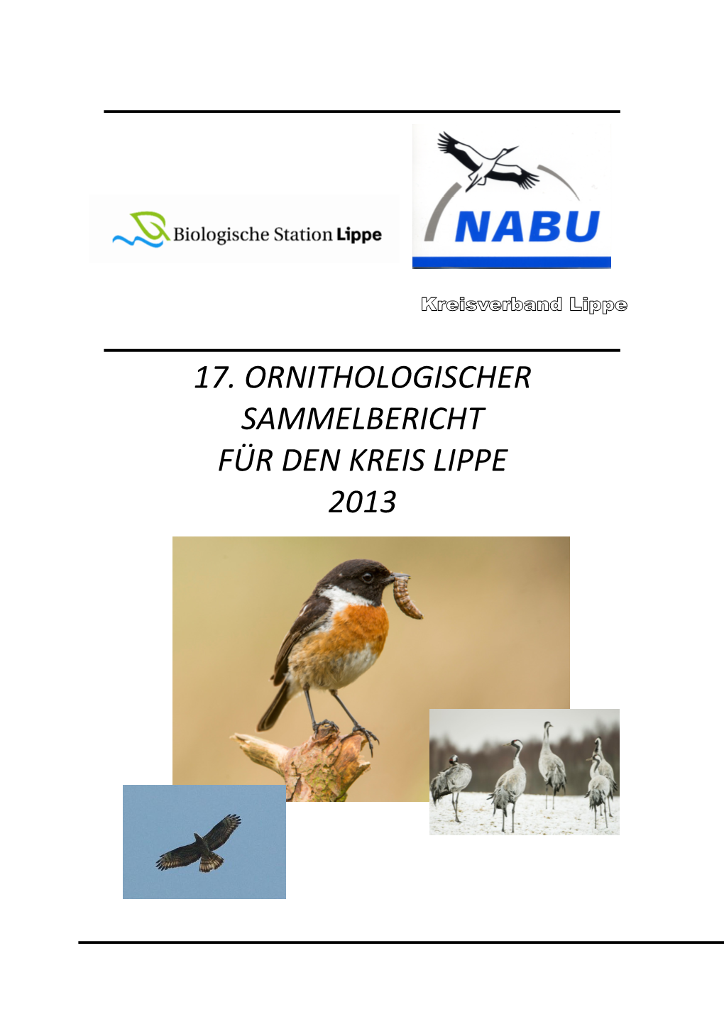 17. Ornithologischer Sammelbericht Für Den Kreis Lippe 2013