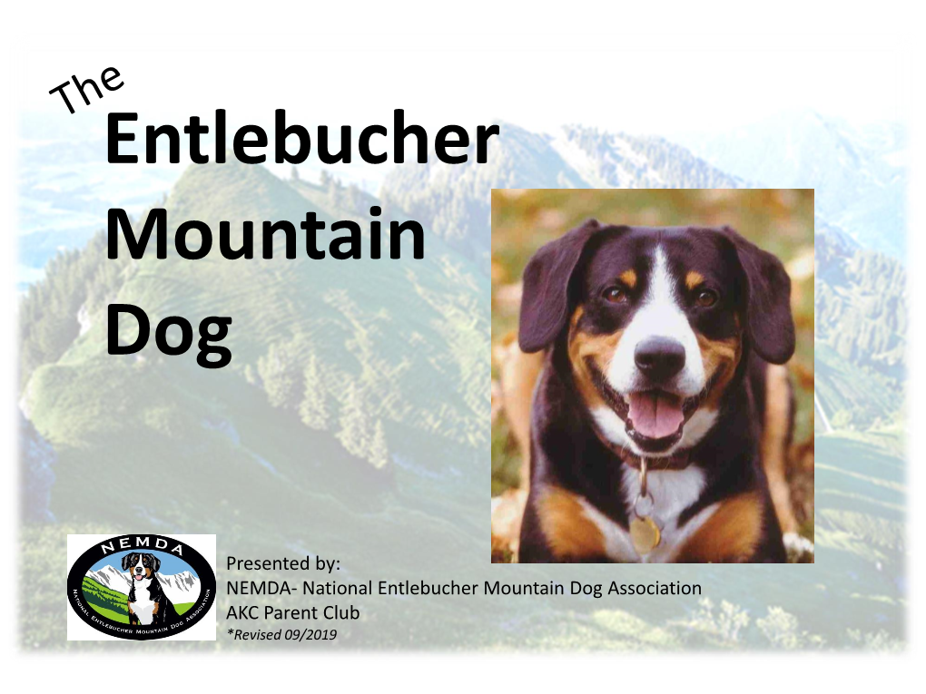 The Entlebucher Mountain