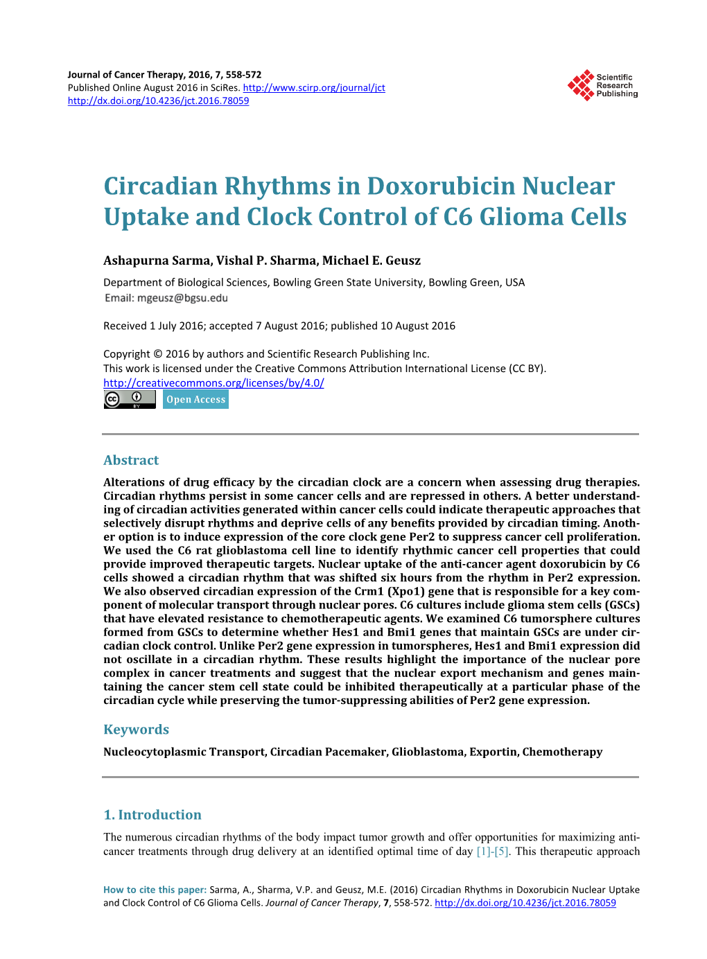 Circadian Rhythms in Doxorubicin Nuclear Uptake and Clock Control of C6 Glioma Cells