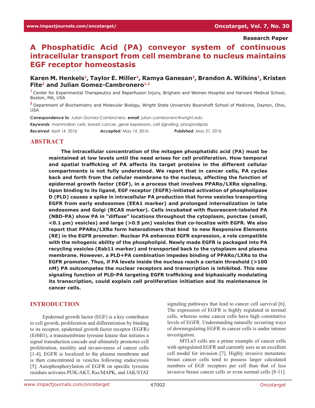 Conveyor System of Continuous Intracellular Transport from Cell Membrane to Nucleus Maintains EGF Receptor Homeostasis