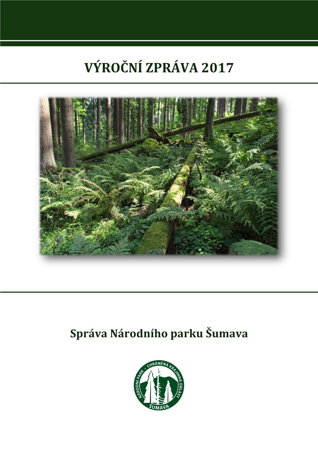 Výroční Zpráva 2017