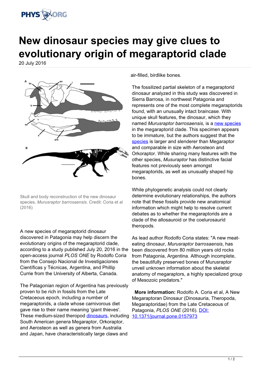 New Dinosaur Species May Give Clues to Evolutionary Origin of Megaraptorid Clade 20 July 2016