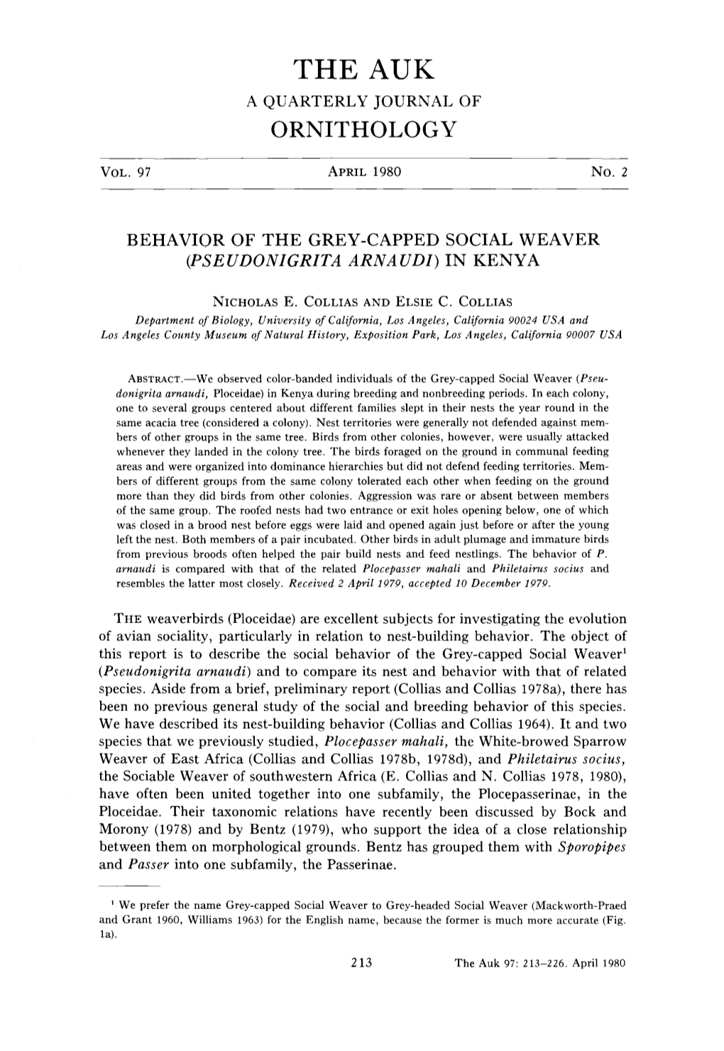 Behavior of the Grey-Capped Social Weaver (Pseudonigrita Arnaudi) in Kenya