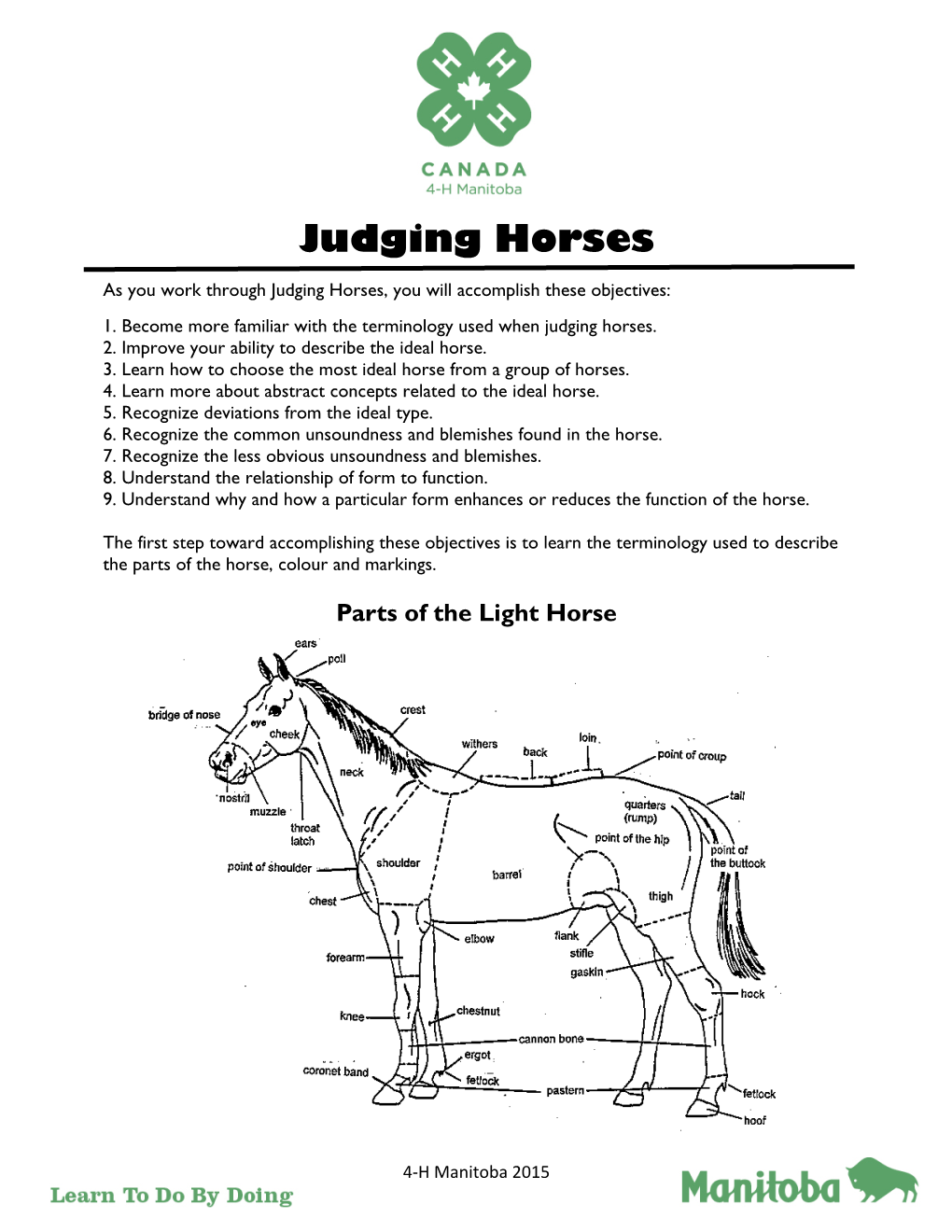 Judging Horses.Pub