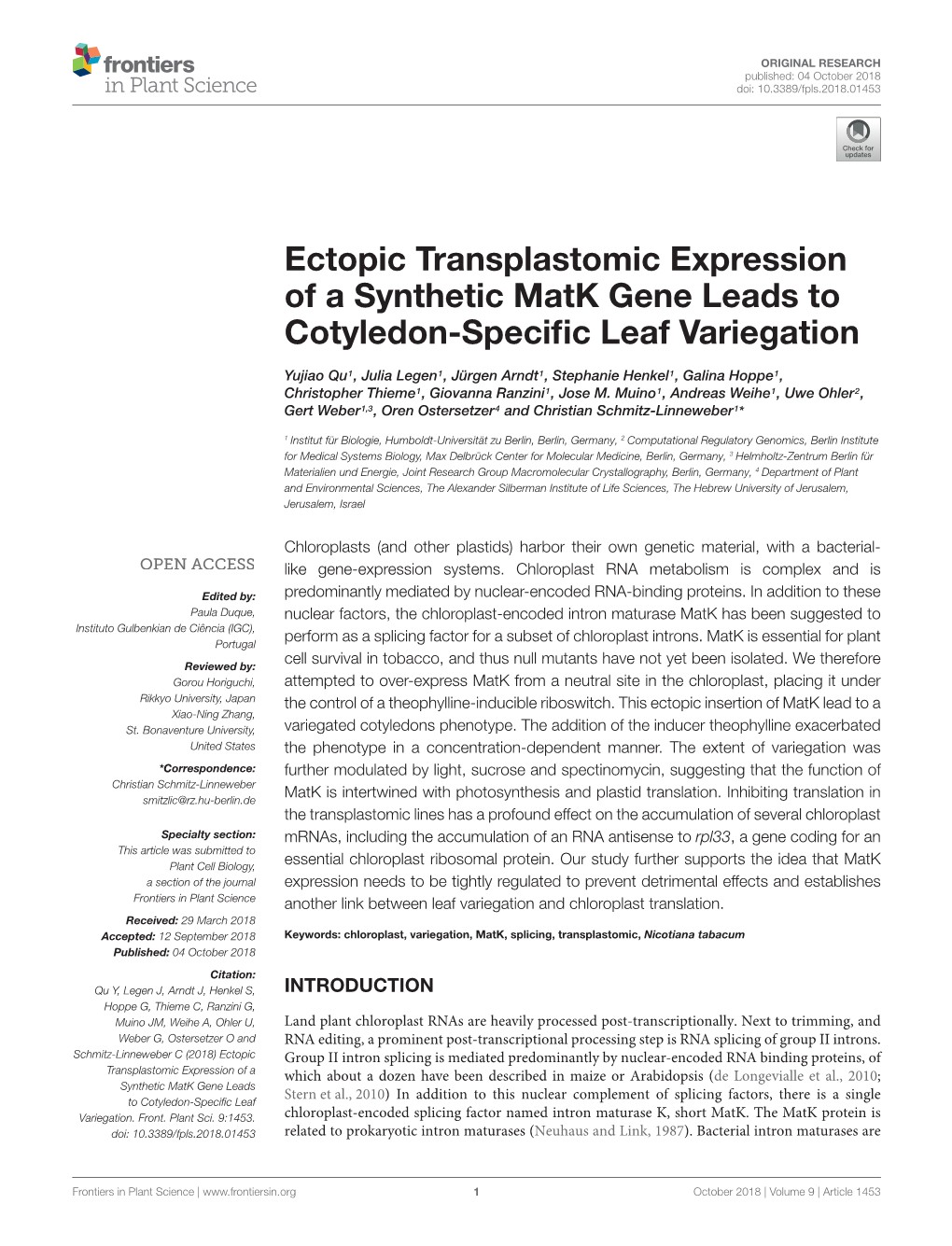 Ectopic Transplastomic Expression of a Synthetic Matk Gene Leads to Cotyledon-Speciﬁc Leaf Variegation