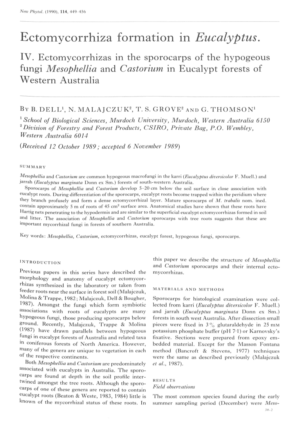 Ectomycorrhiza Formation in Eucalyptus. IV