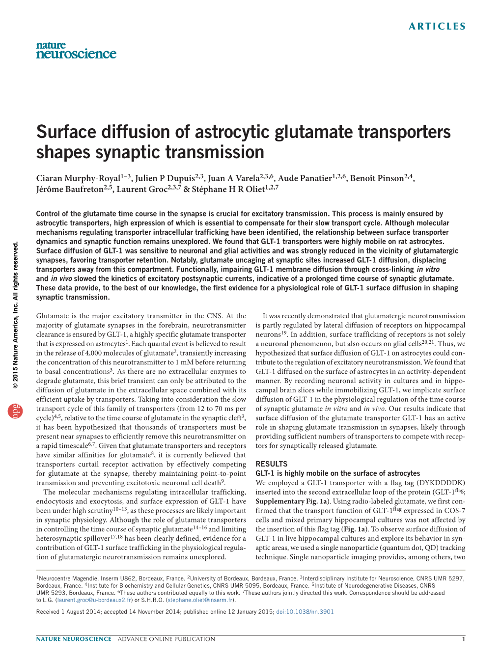Surface Diffusion of Astrocytic Glutamate Transporters Shapes Synaptic Transmission
