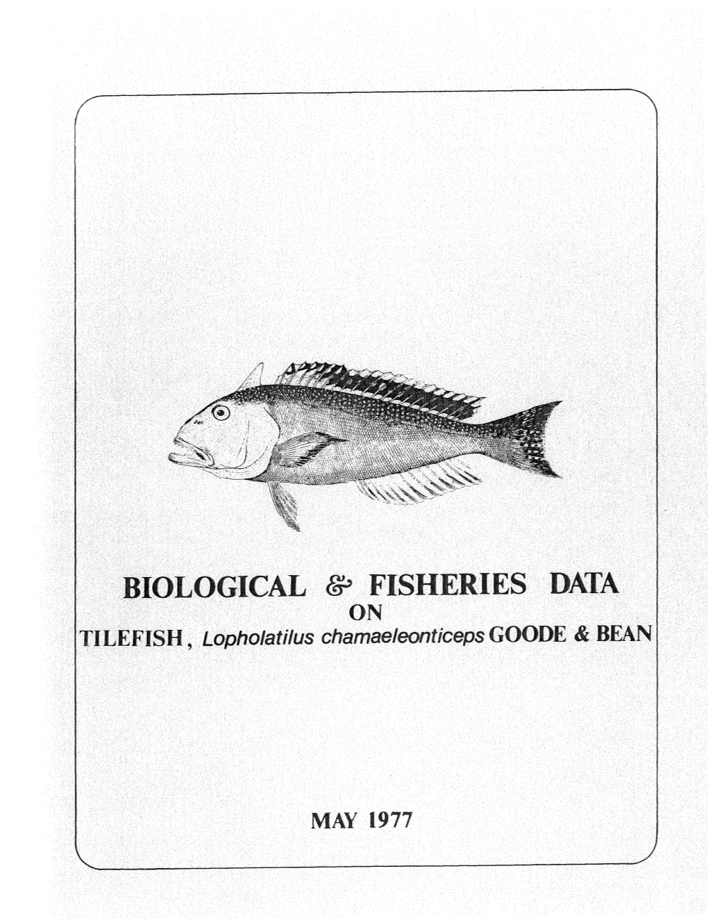 Biological and Fisheries Data on Tilefish, Lopholatilus Chamaeleonticeps