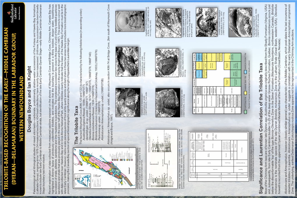 Trilobite-Based Recognition of the Early—Middle