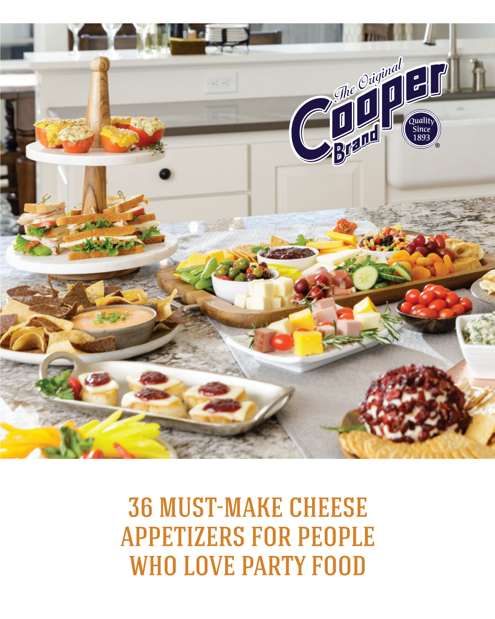 36 MUST-MAKE CHEESE APPETIZERS for PEOPLE WHO LOVE PARTY FOOD Mmm