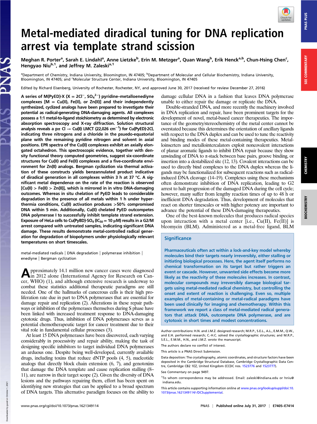 Metal-Mediated Diradical Tuning for DNA Replication Arrest Via Template