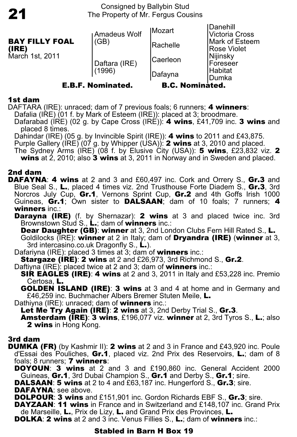 Consigned by Ballybin Stud the Property of Mr. Fergus