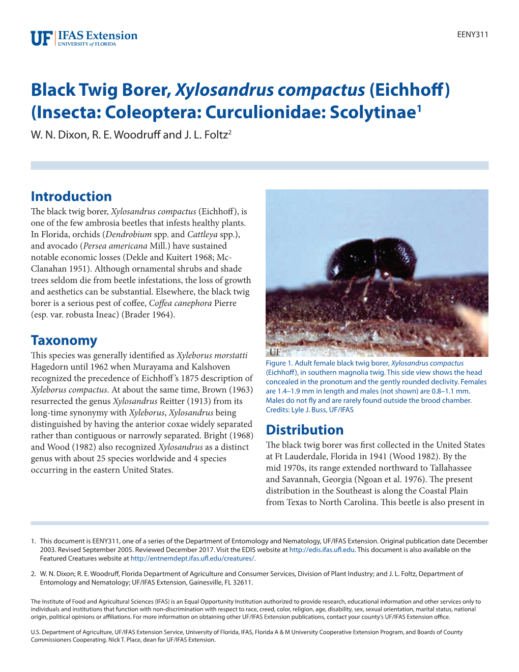 Black Twig Borer, Xylosandrus Compactus (Eichhoff) (Insecta: Coleoptera: Curculionidae: Scolytinae1 W