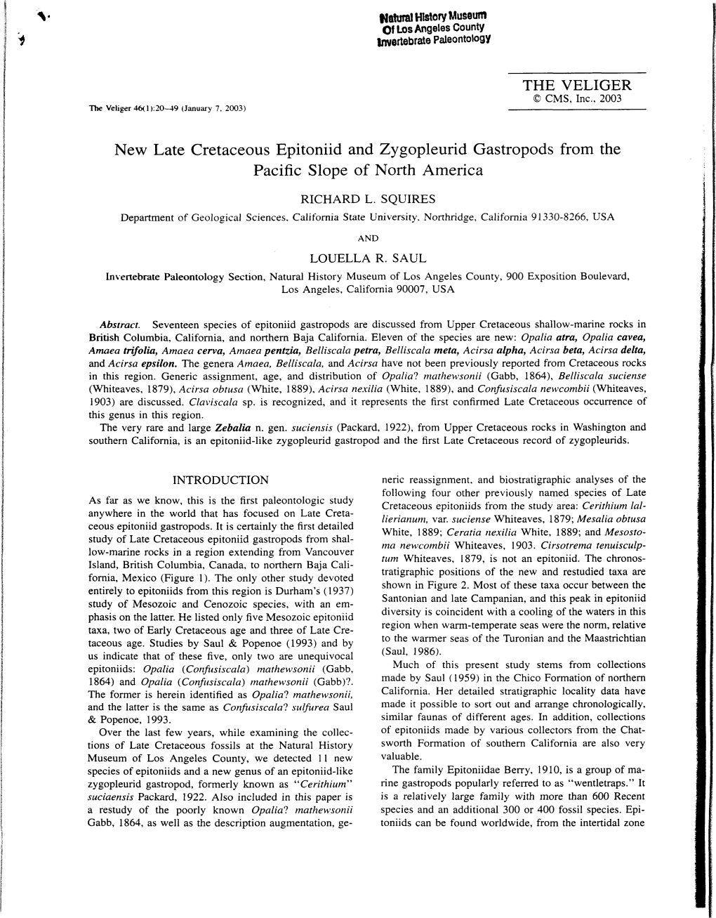 THE VELIGER New Late Cretaceous Epitoniid