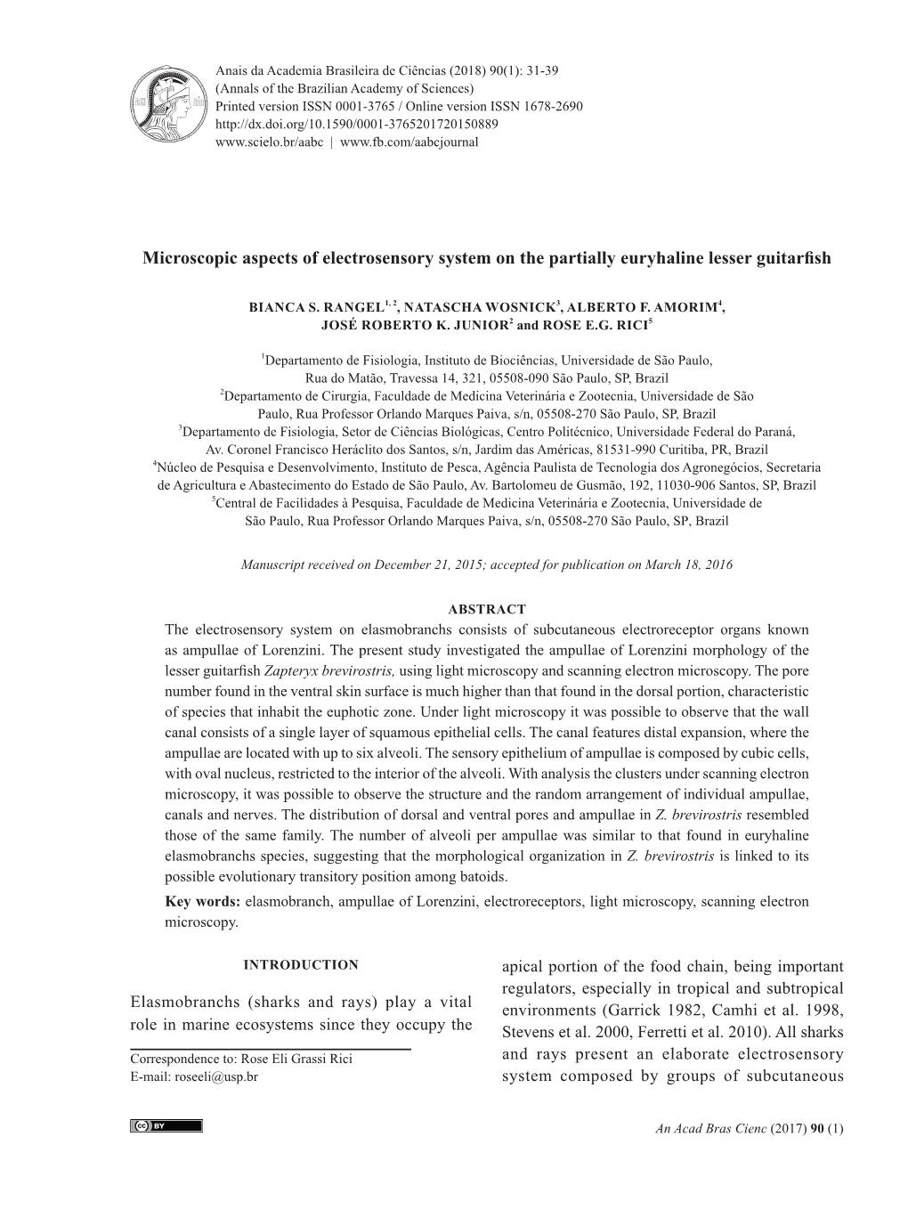 Microscopic Aspects of Electrosensory System on the Partially Euryhaline Lesser Guitarfish