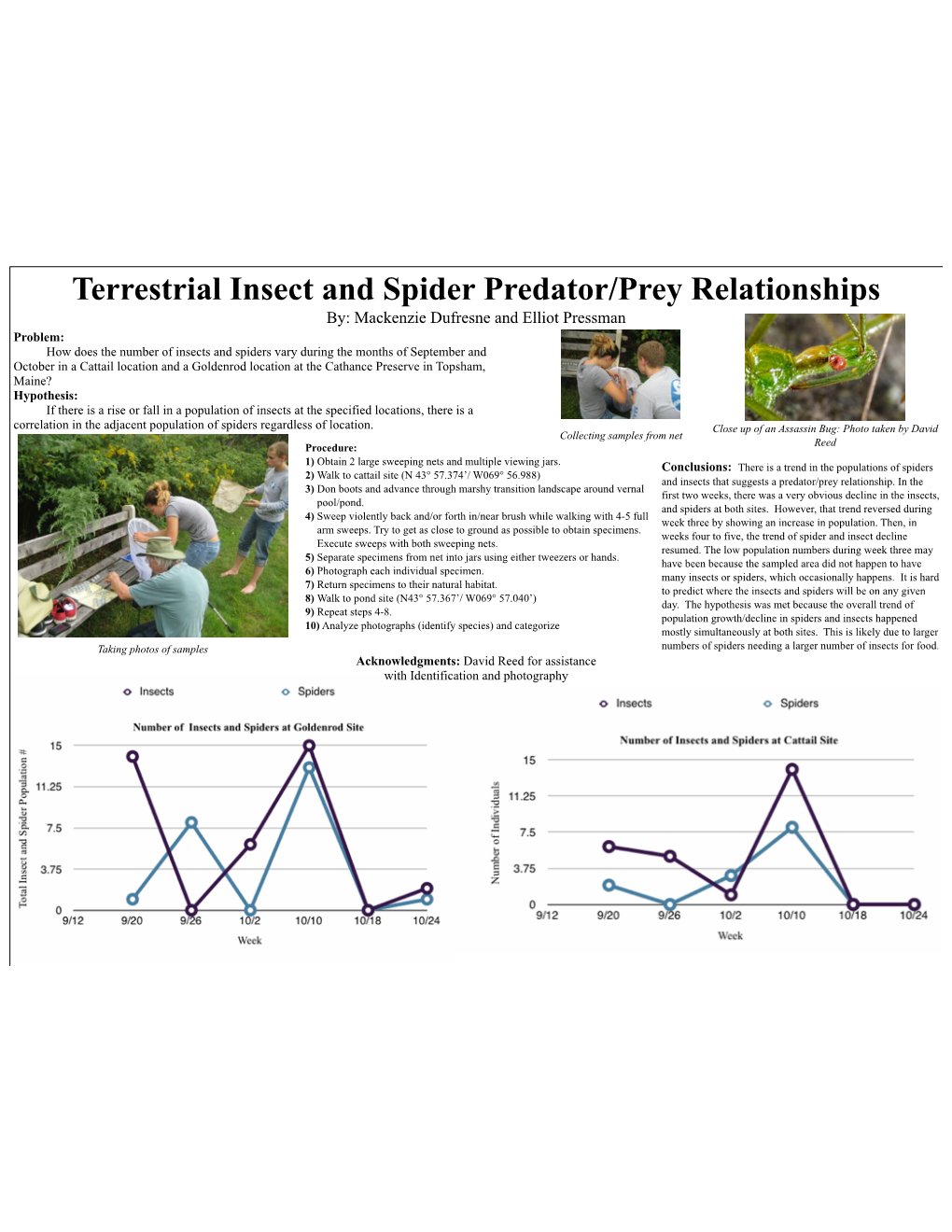 Terrestrial Insect and Spider Predator/Prey Relationships