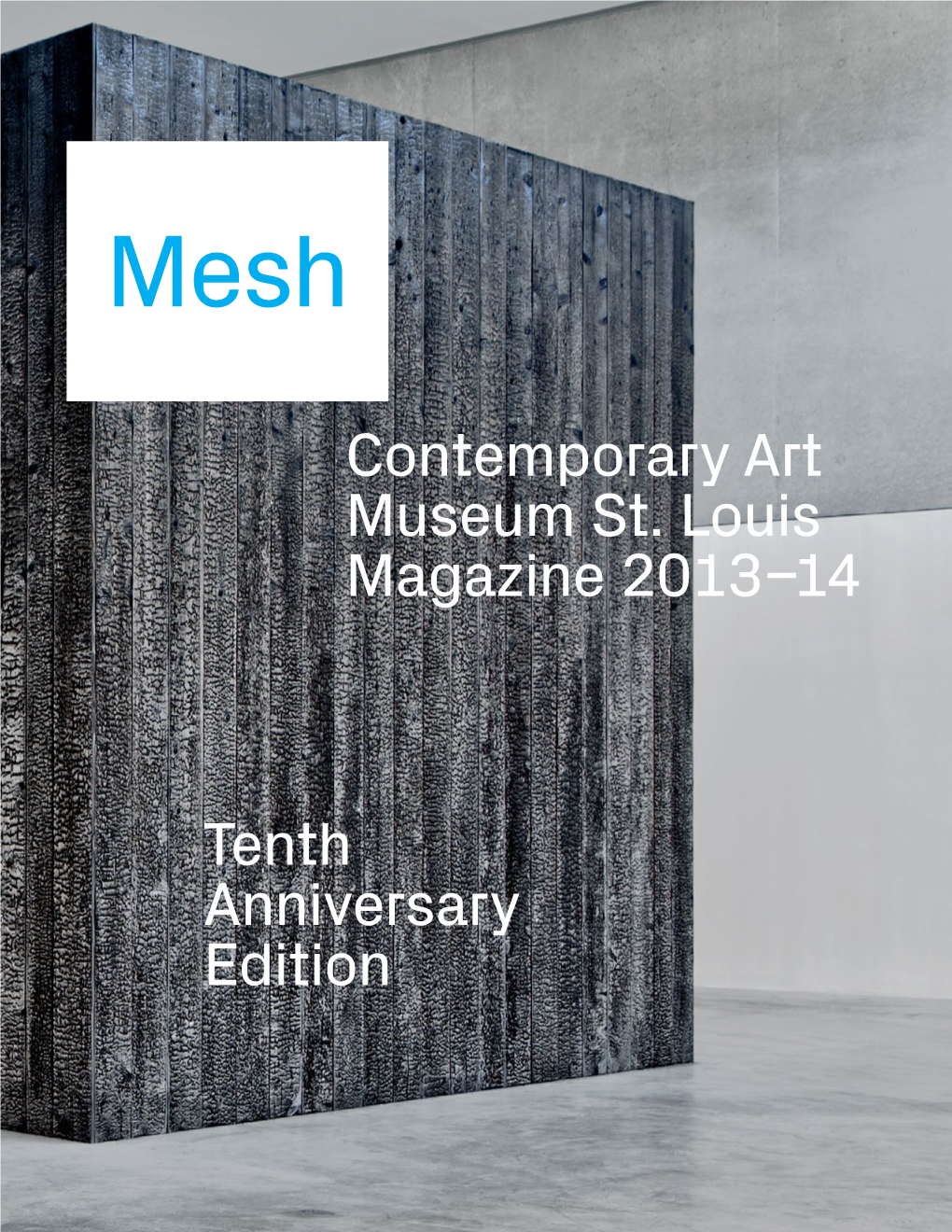 Tenth Anniversary Edition Contemporary Art Museum St