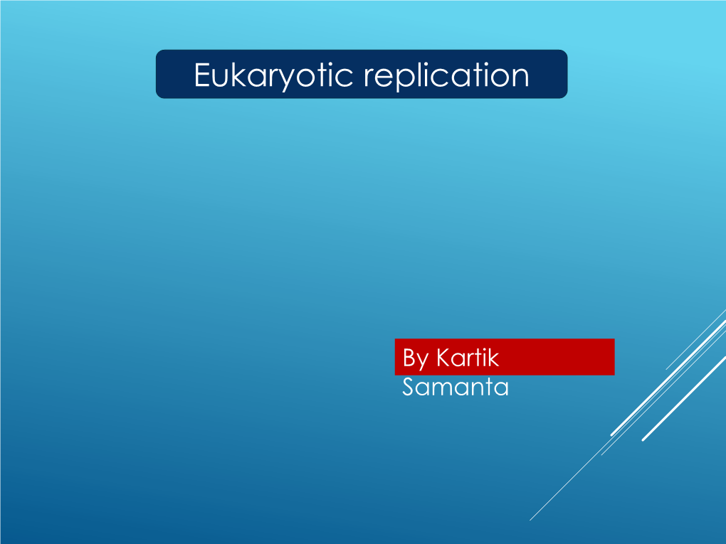 Eukaryotic Replication