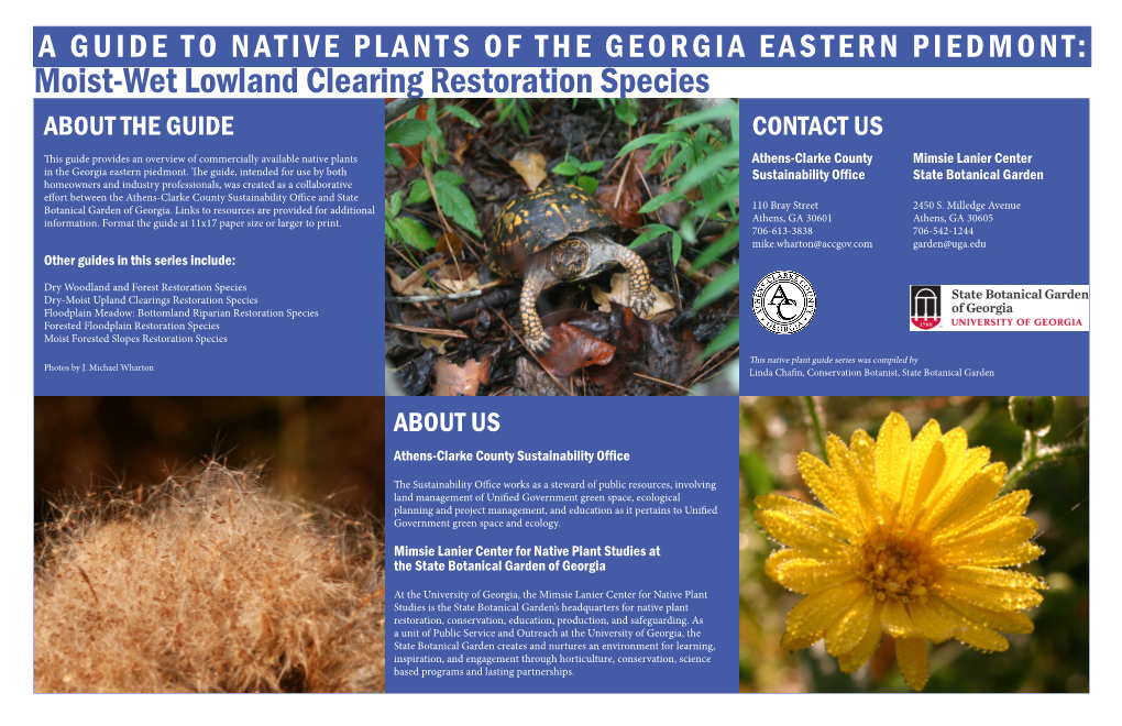 Moist-Wet Lowland Clearing Restoration Species