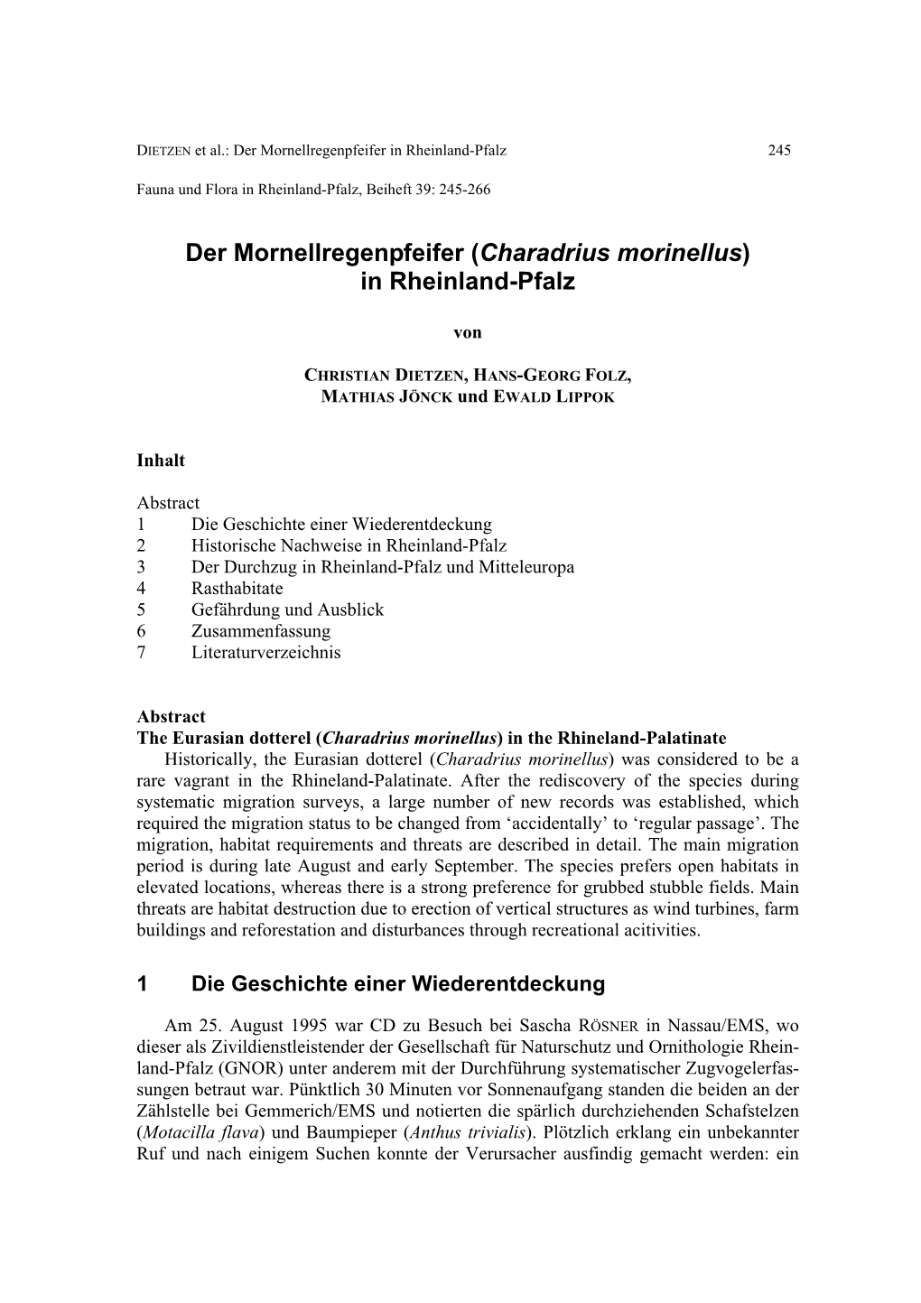 Der Mornellregenpfeifer (Charadrius Morinellus) in Rheinland-Pfalz