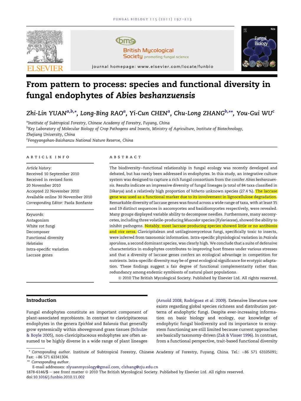 Species and Functional Diversity in Fungal Endophytes of Abies Beshanzuensis