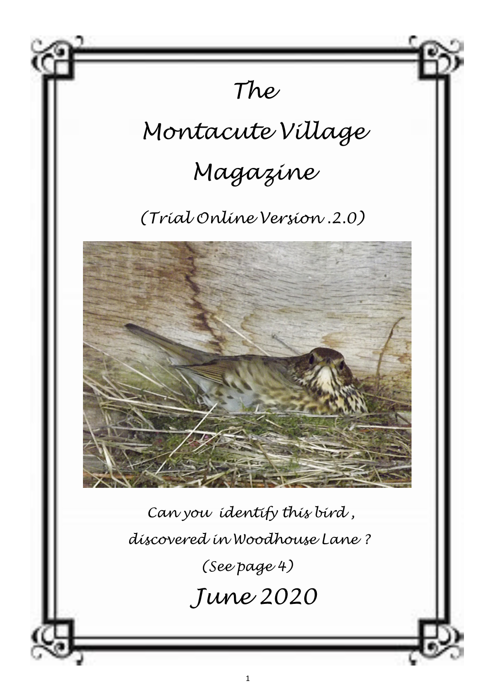 The Montacute Village Magazine June 2020