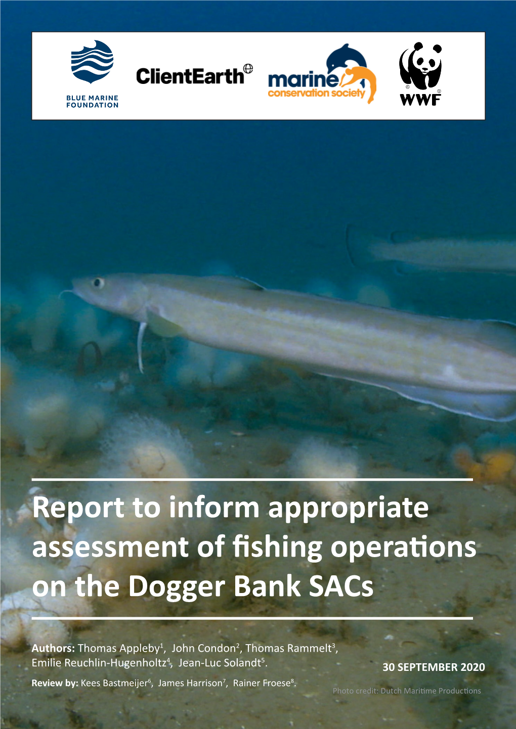 Report to Inform Appropriate Assessment of Fishing Operations on the Dogger Bank Sacs