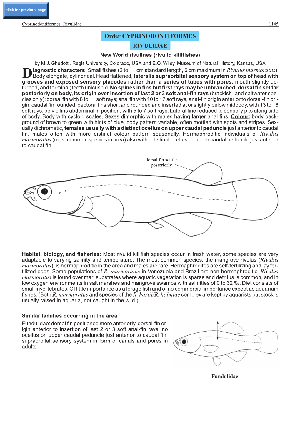 Order CYPRINODONTIFORMES RIVULIDAE New World Rivulines (Rivulid Killifishes) by M.J