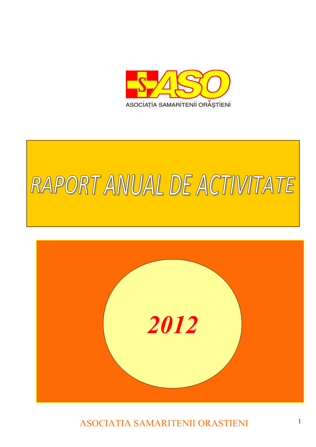 Raport Activități 2012