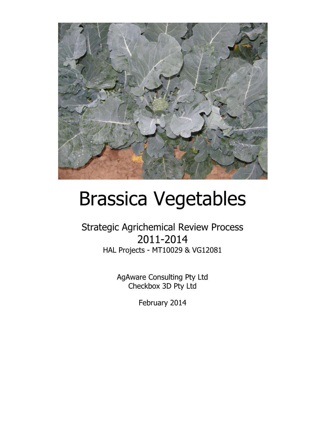 Brassica Vegetables