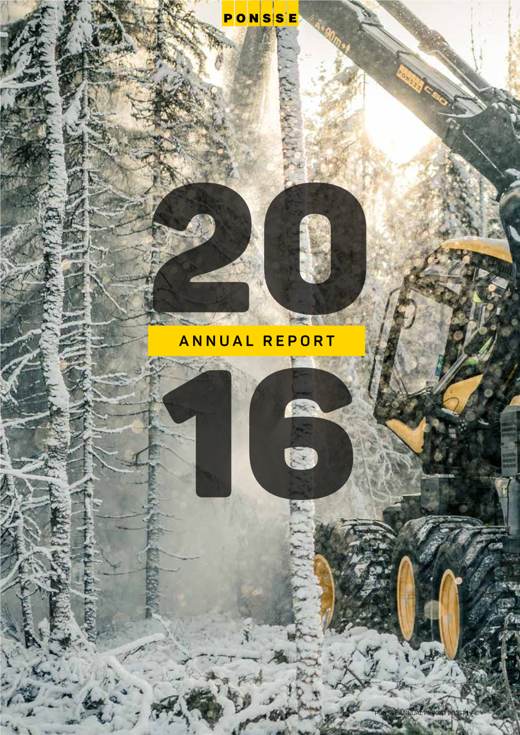 16Annual Report