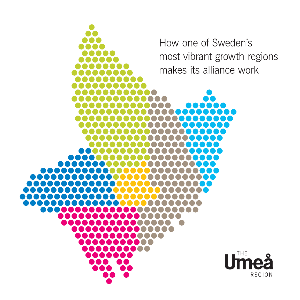How One of Sweden's Most Vibrant Growth Regions Makes Its Alliance