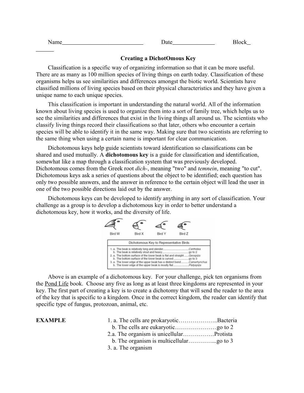 Creating a Dichotomous Key s1