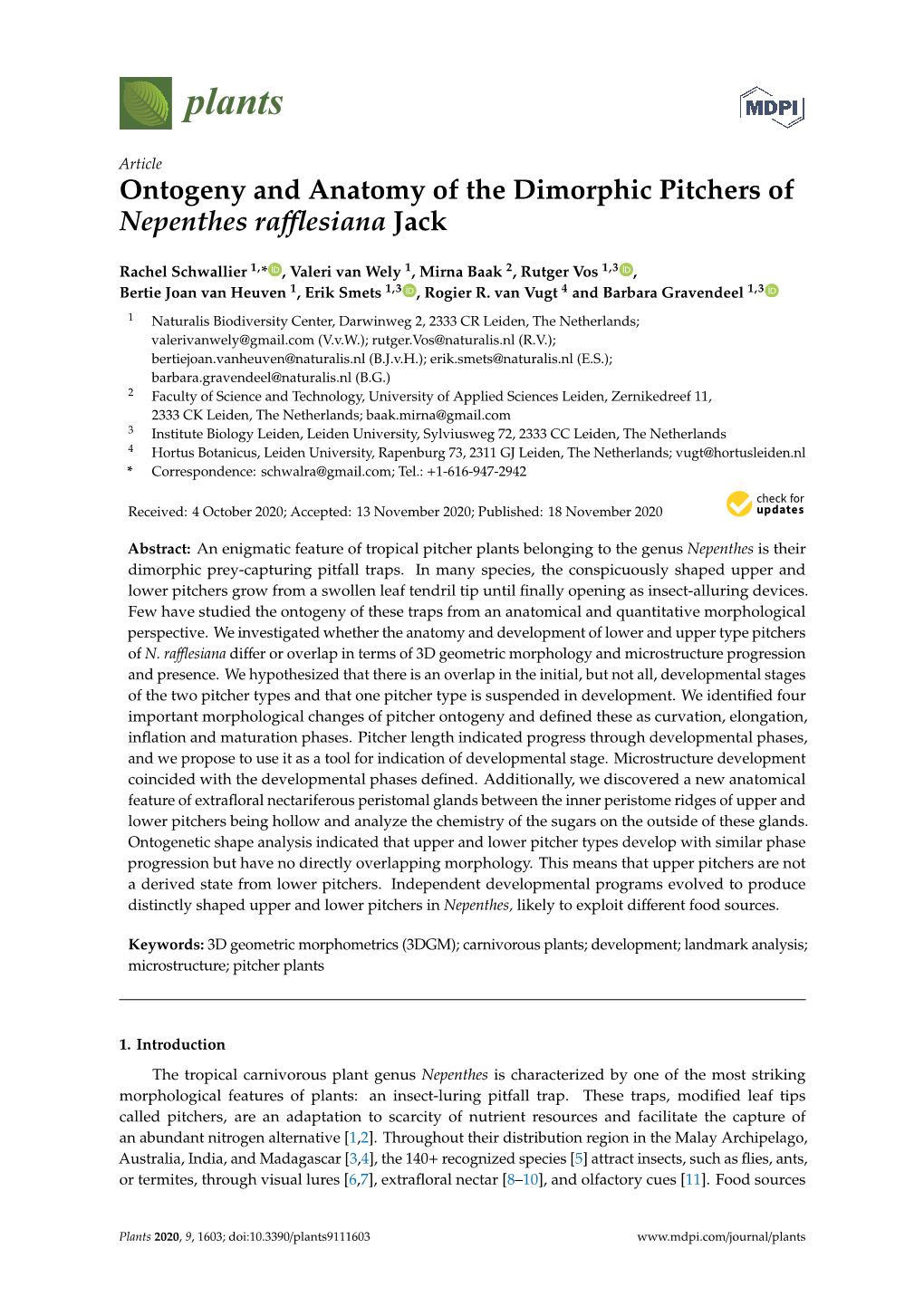 Ontogeny and Anatomy of the Dimorphic Pitchers of Nepenthes Raﬄesiana Jack