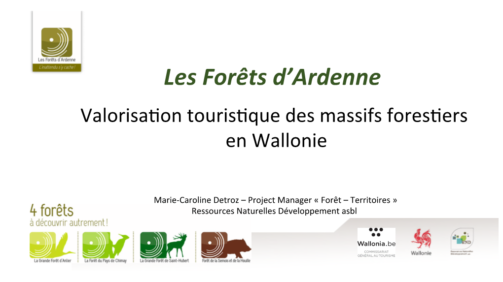 Les Forêts D'ardenne