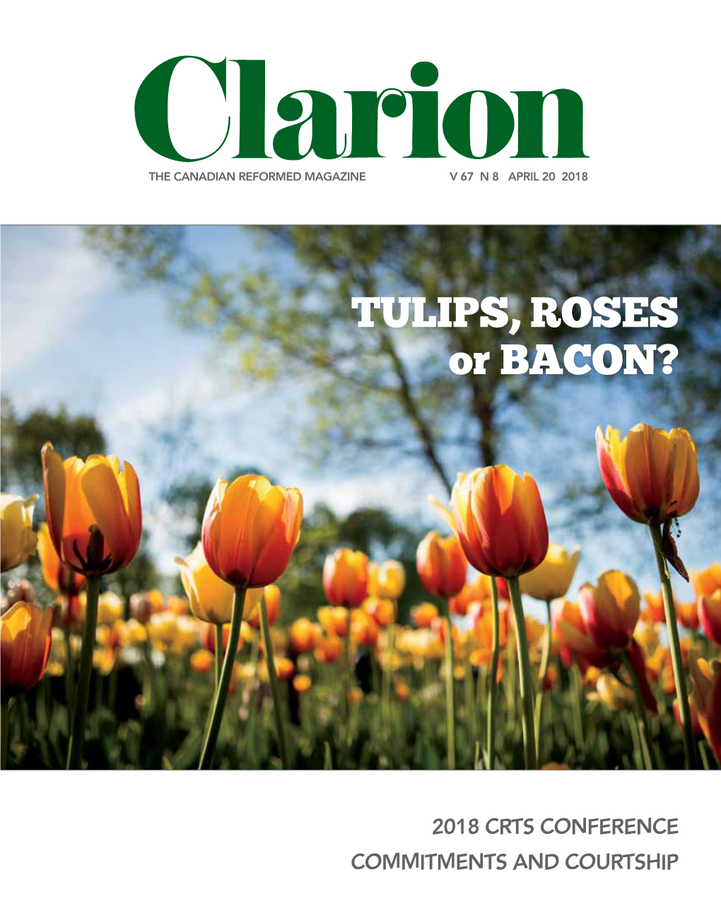 TULIPS, ROSES Or BACON?